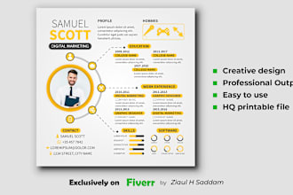 design professional unique infographic resume very fast
