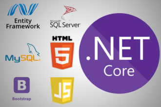 do website development using dotnet framework