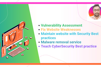 do vulnerability assessment and website malware removal