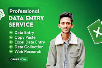 do fastest data entry copy paste and data cleaning