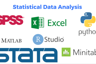 do expert data analysis using spss, matlab, excel, python, stata, r