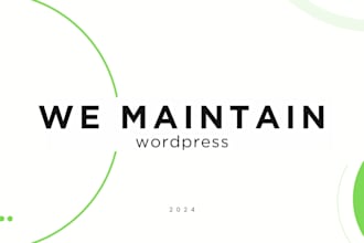 fix wordpress errors, speed up your site, 10 years wp expert