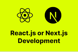 do frontend web development using react js or next js for  performance