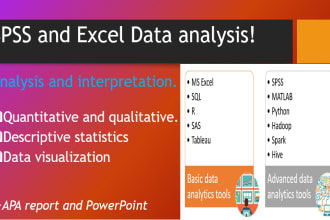 perform statistical data analysis on spss and excel with interpretation report