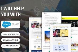 elevate your marketing with expert pardot services