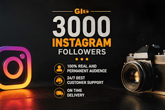 buy 3,000 instagram followers fast not bot