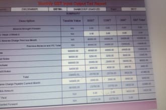 do working of tax,tax consultancy and file tax return