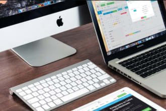 your web and data QA engineer