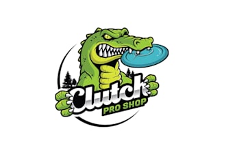 make a premium mascot cartoon logo character design