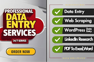 do data entry, web scraping and copy paste work