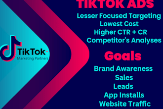 setup tik tok ads campaign, tik tok ads, manage tik tok ads video