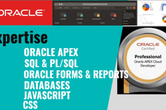 develop, design and customize oracle apex applications
