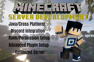 develop and setup a professional minecraft server for you
