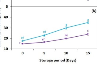 enter, analyze research data and interpret in manuscripts