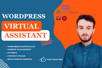 be your wordpress va, wordpress virtual assistant or manager