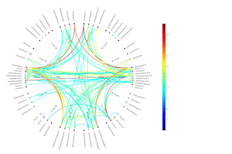 do eeg data preprocessing and reporting