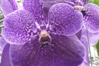 write horticulture, permaculture, content, affiliate writer, translator