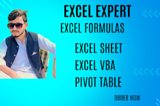 help you in excel sheets,  excel formulas, pivot table, graphs, charts, vlookup,