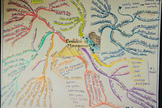 create mind maps and infographics within 24 hours