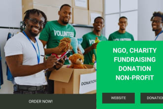 build charity website, nonprofit, fundraising, donation, ngo website on godaddy