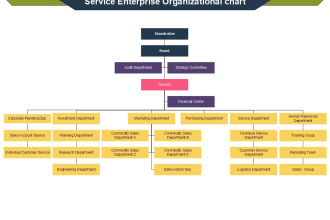 design infographic, flowchart, editable org chart
