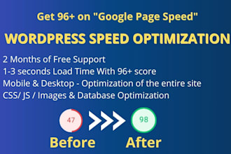 advanced wordpress speed optimization and speed up wordpress website