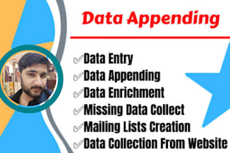 do company data appending, data enrichment, data entry