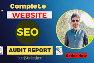 provide a detailed website SEO audit report