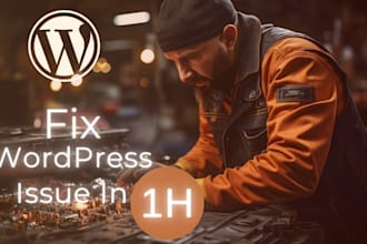 fix wordpress issue in 1 hour