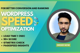 do premium speed optimization for wordpress with pagespeed insights