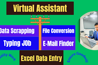 do data entry, file conversion, copy paste, web scraping