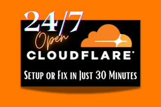 fix or setup cloudflare, cdn, ssl, dns and connect domain to your website