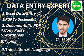 do excel data entry,copy paste,translation,pdf convert etc