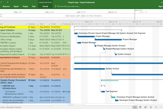 design custom gantt charts, schedule, wbs and raci matrix in ms project or excel