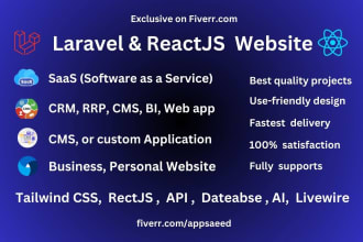 build modern web apps, laravel, react, API, custom solutions