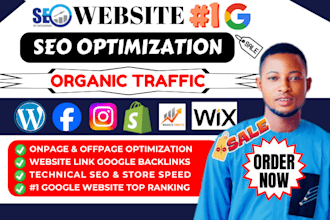 optimize website SEO service, on page technical for wordpress and shopify