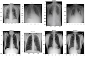 do image classification, recognition and object detection