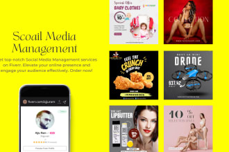 be your dedicated social media manager for monthly management