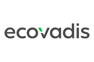 provide expert ecovadis sustainability assessment services