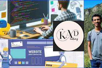 develop a professional python django websites