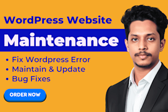 fix wordpress issues, website maintenance, wordpress help and woocommerce bugs