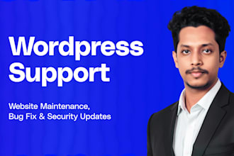 do ongoing wordpress website maintenance, bug fixes, monthly care and security