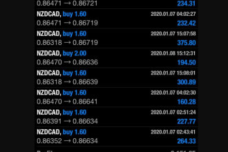 setup forex trading bot, forex robot, trading bot, forex ea, hft bot