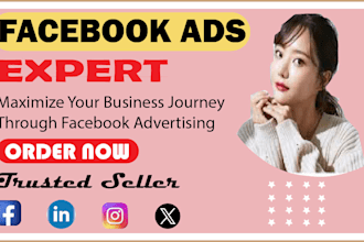 do facebook  marketing, advertising and expert ads campaign
