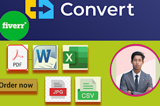 convert PDF pdf to ex jpg to word file conversion data entry