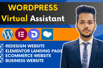 be your professional wordpress virtual assistant for website management