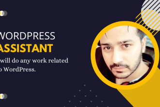 be your wordpress assistant