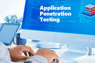 do web application penetration testing