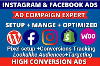 manage meta ads campaigns for leads and sales