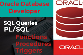 write oracle sql query,plsql procedure, functions  triggers